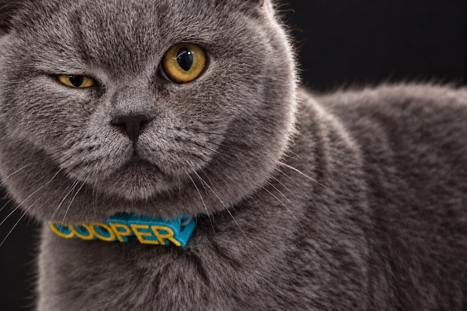 Cadru animat cu ochiul lui Cooper pe jumătate închis