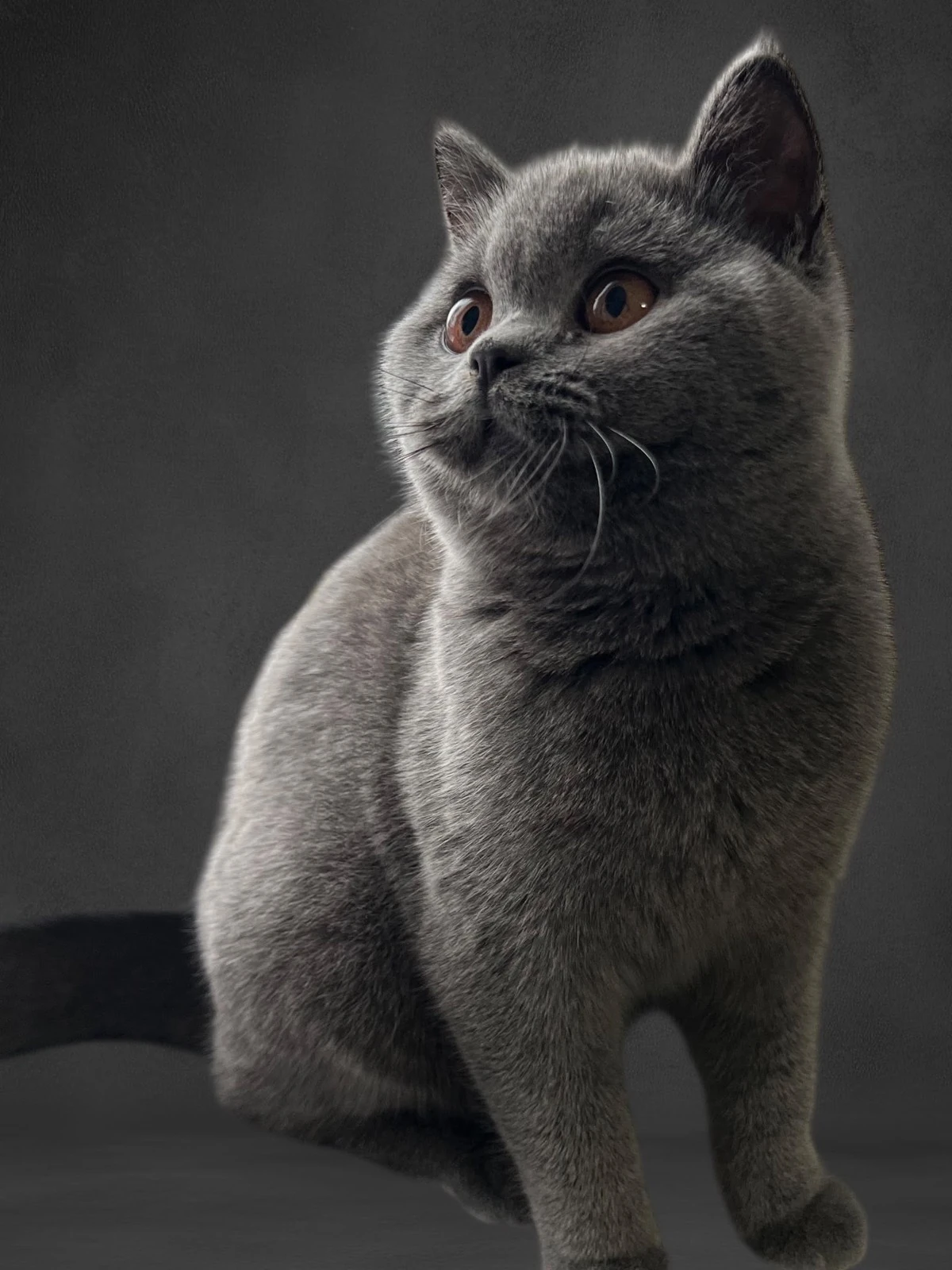 Nina