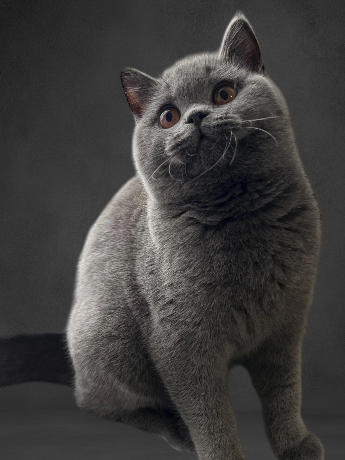 Nina