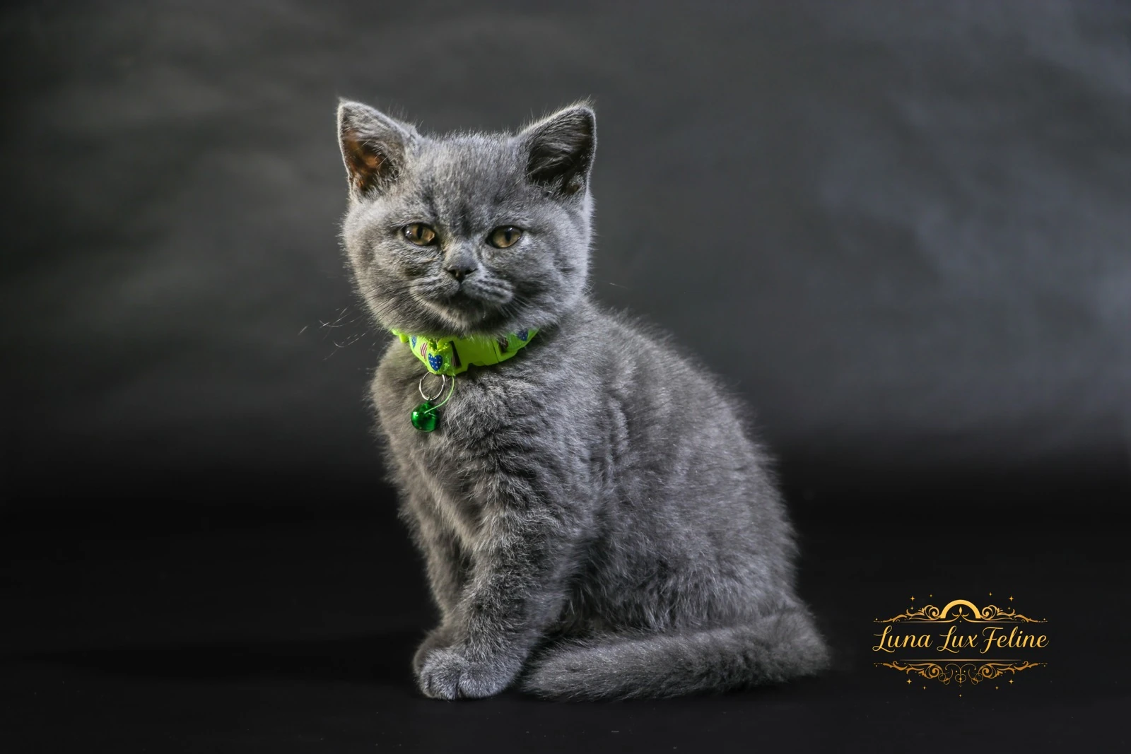 Mr. Applegreen