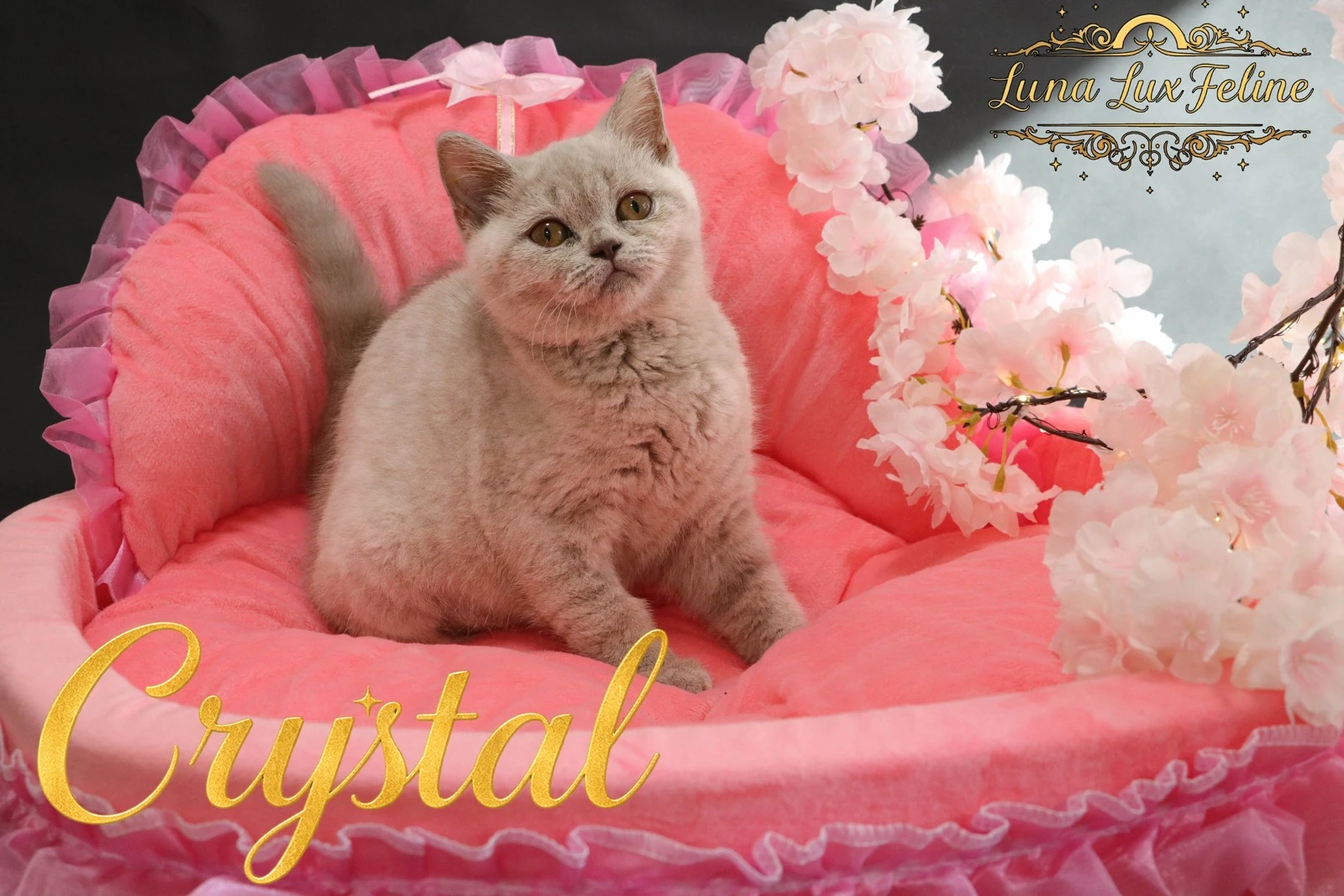 Crystal