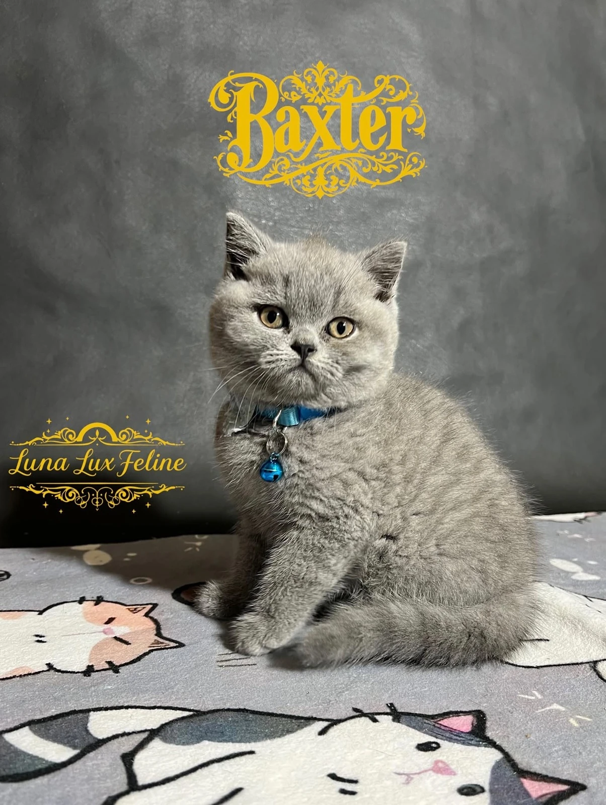 Baxter