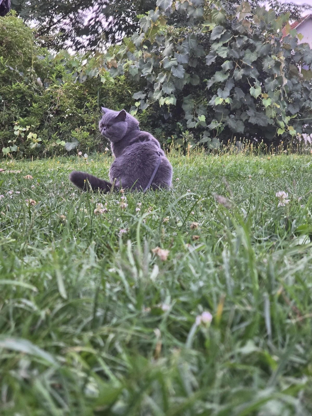 Ein Moment im Garten.
