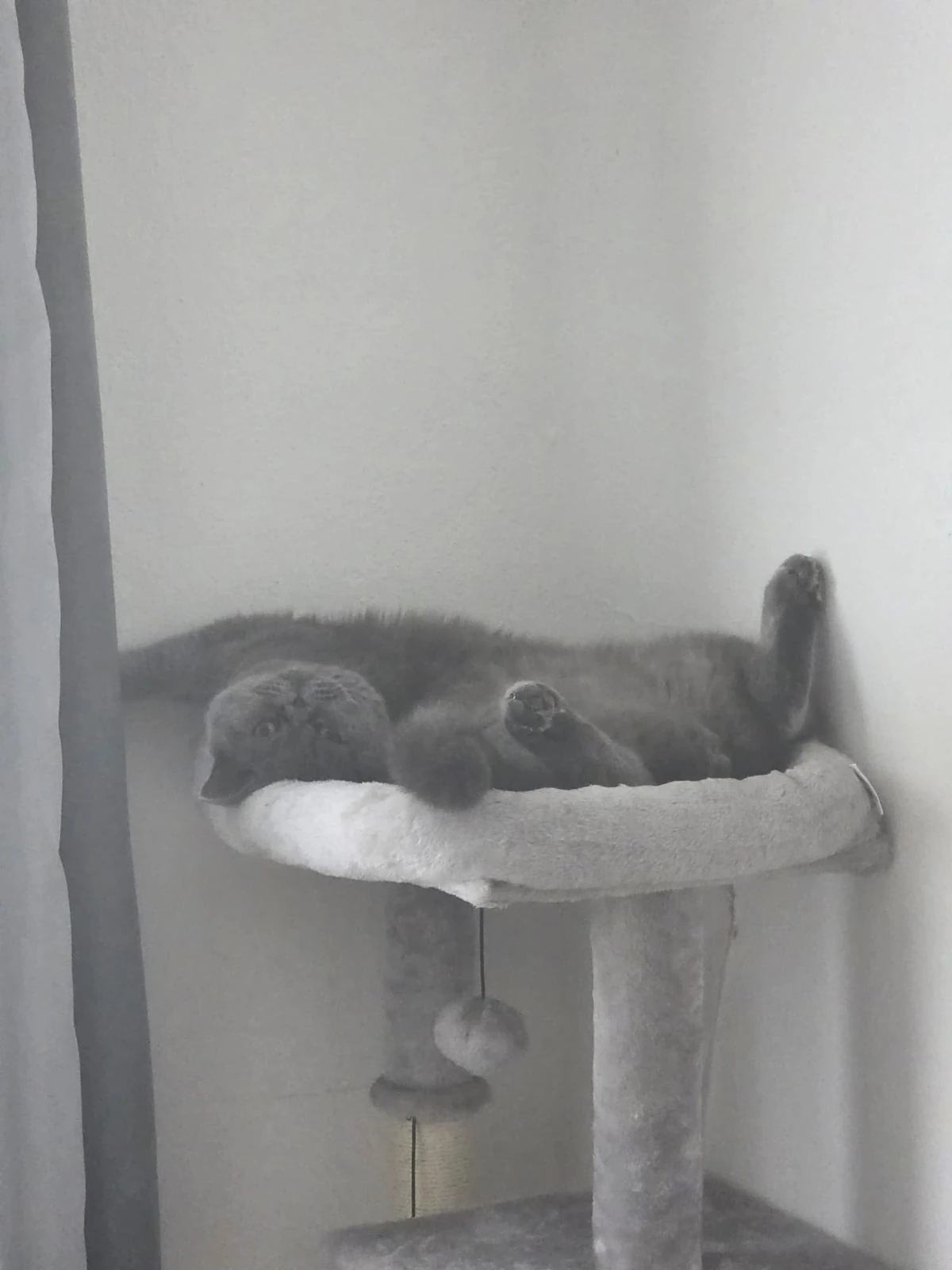 Der beste Platz zum Ausruhen.
