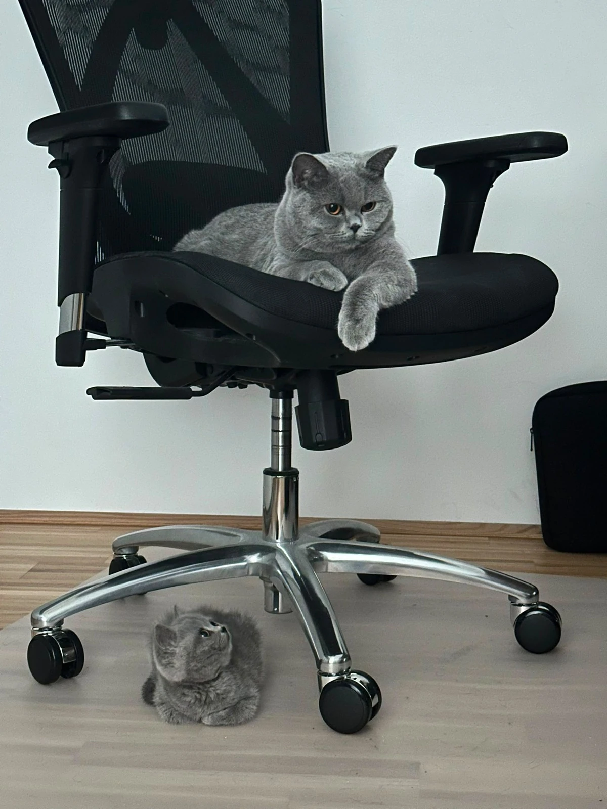 Noch ein Platz im Herzen.